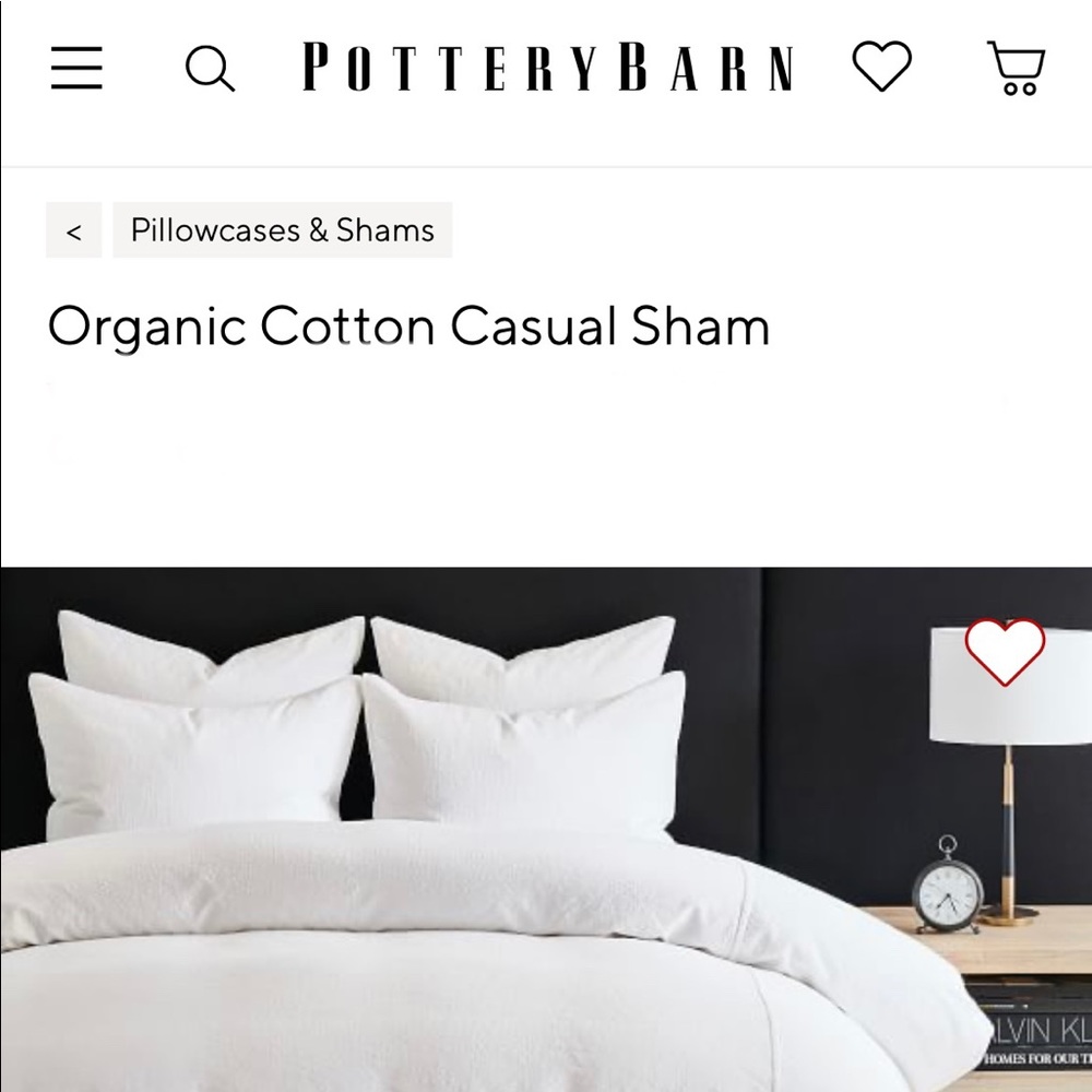 Pottery Barn Pillow sham, standard